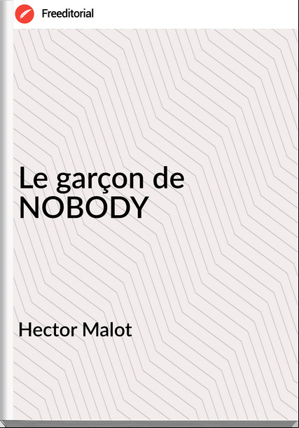 Hector Malot - Le garçon de NOBODY              