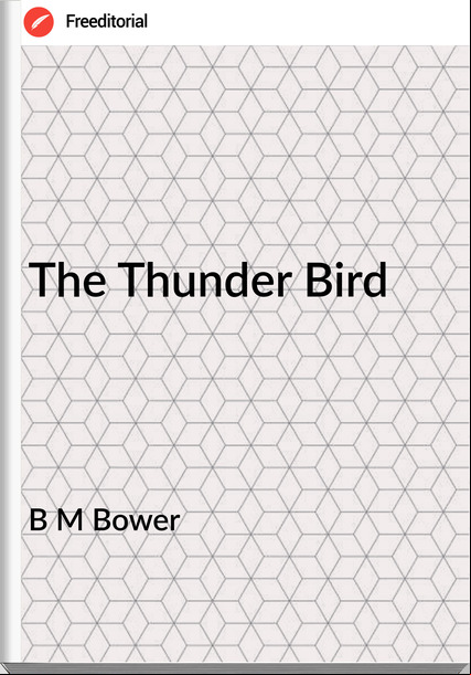 B M Bower - The Thunder Bird