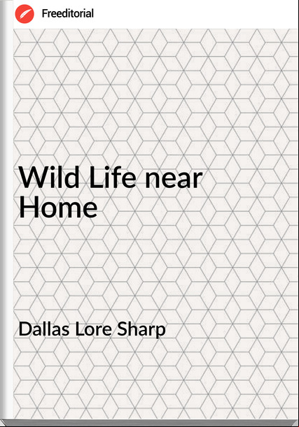 Dallas Lore Sharp - Wild Life near Home