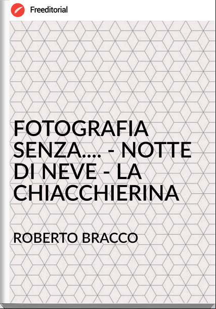 ROBERTO BRACCO - FOTOGRAFIA SENZA.... - NOTTE DI NEVE - LA CHIACCHIERINA