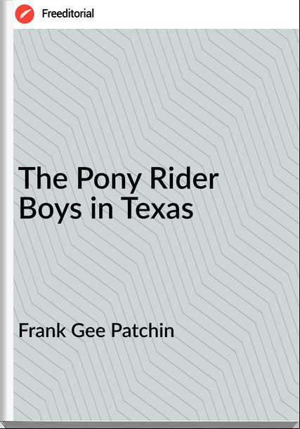 Frank Gee Patchin - The Pony Rider Boys in Texas