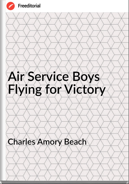 Charles Amory Beach - Air Service Boys Flying for Victory