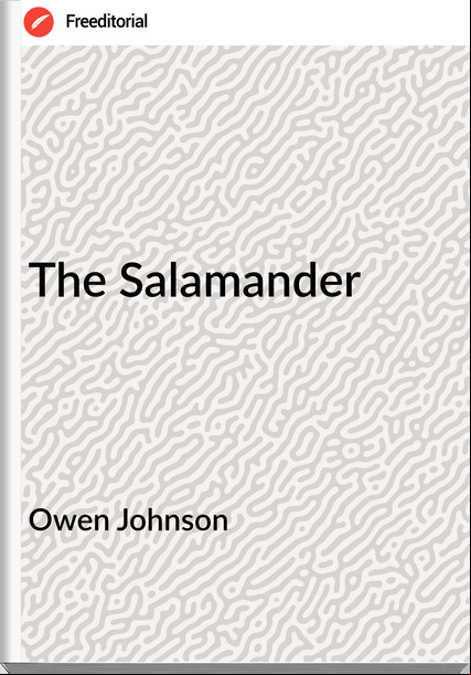 Owen Johnson - The Salamander
