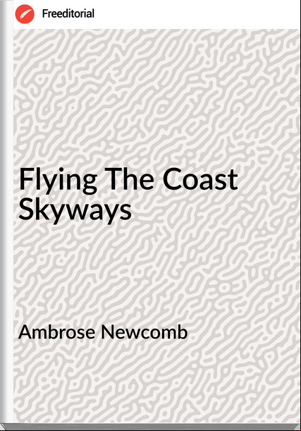 Ambrose Newcomb  - Flying The Coast Skyways