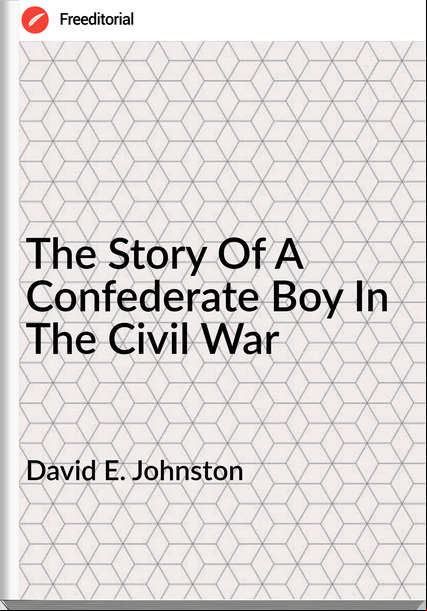 David E. Johnston - The Story Of A Confederate Boy In The Civil War