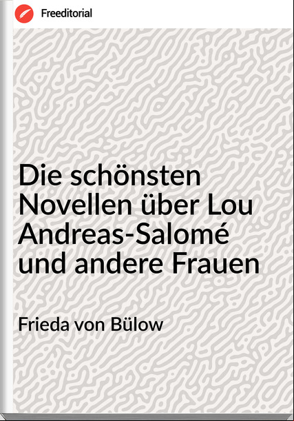 Frieda von Bülow - Die schönsten Novellen über Lou Andreas-Salomé und andere Frauen
