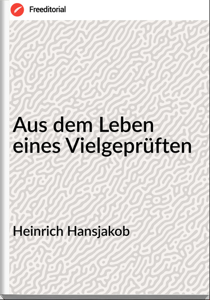 Heinrich Hansjakob - Aus dem Leben eines Vielgeprüften