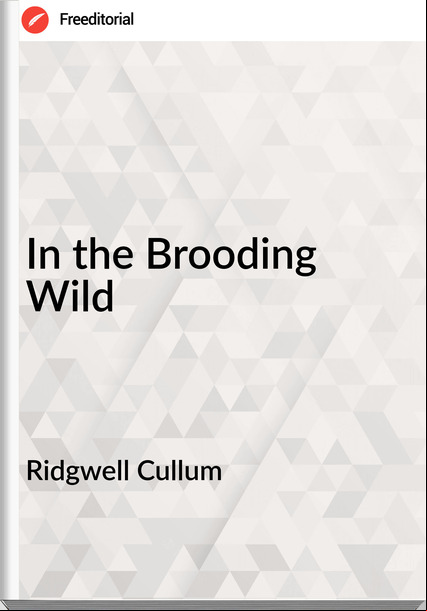  Ridgwell Cullum - In the Brooding Wild
