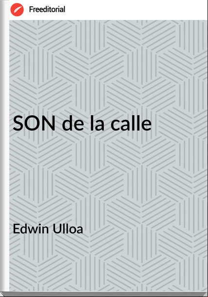 Edwin Ulloa - SON de la calle