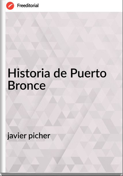 javier picher - Historia de Puerto Bronce