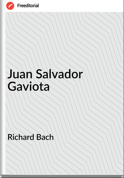  Richard Bach - Juan Salvador Gaviota