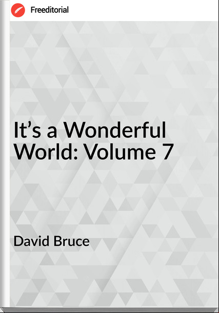 David Bruce - It’s a Wonderful World: Volume 7