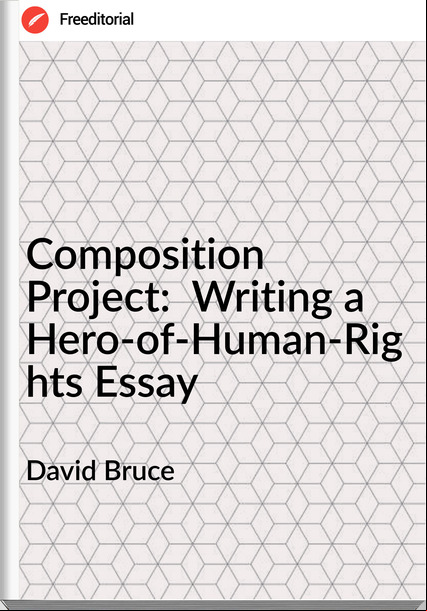 David Bruce - Composition Project:  Writing a Hero-of-Human-Rights Essay